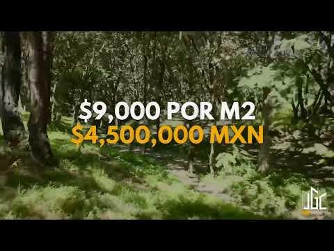 Previsualización de video